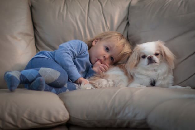 Fostering a Love for Animals in Your Young Child