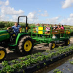 bedner's farm fresh market